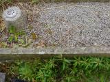 image of grave number 405207